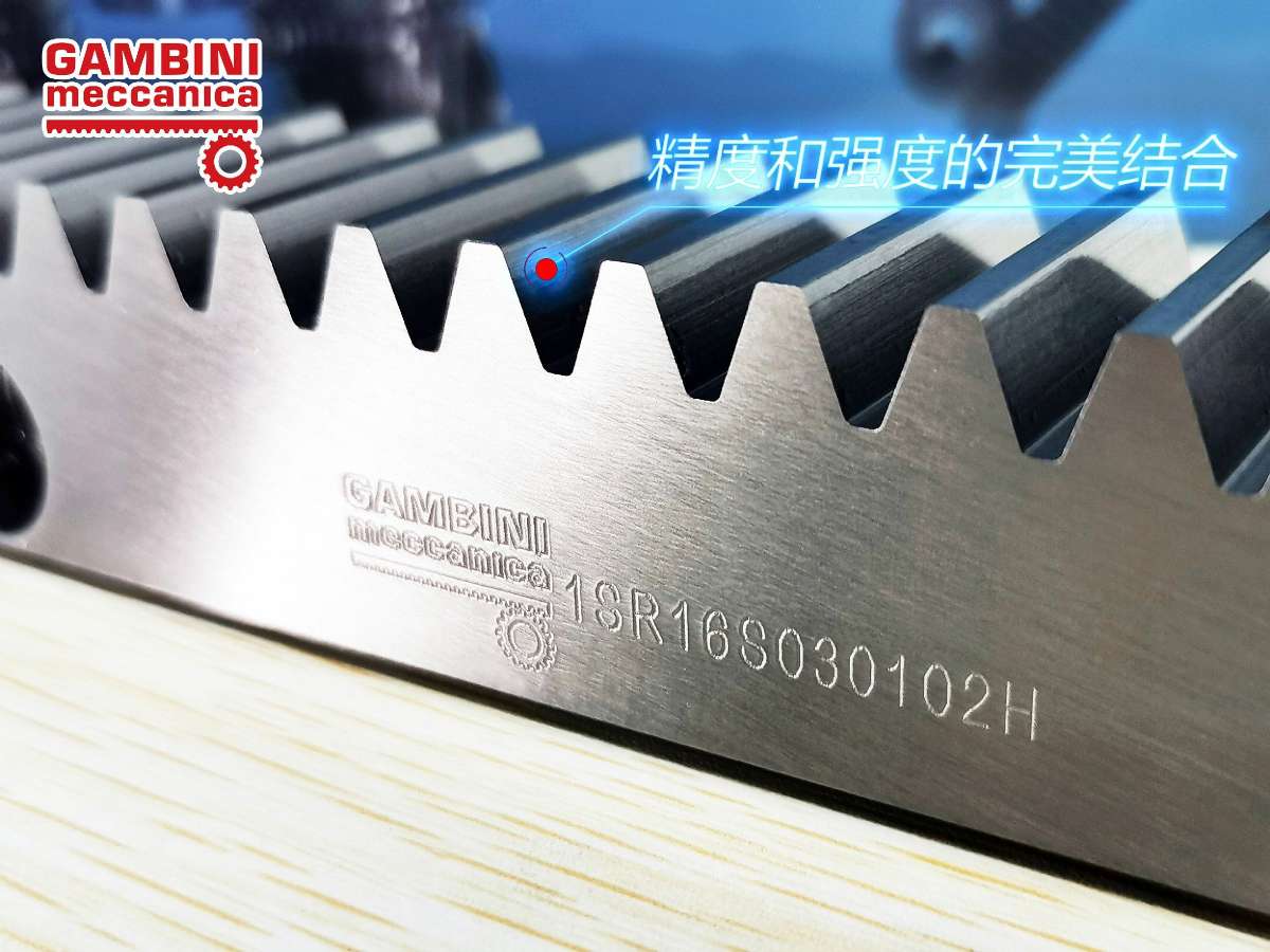 意大利Gambini進(jìn)口齒輪齒條